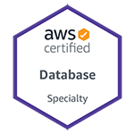 AWS database specialty shield